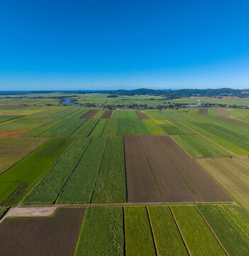 Aerial view of Condong cane farming