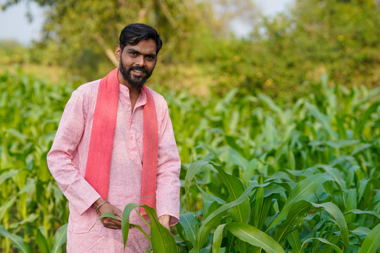 Indian farmer standing confidently at corn agriculture field