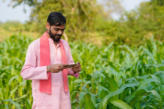 Indian farmer using smartphone at corn agriculture field