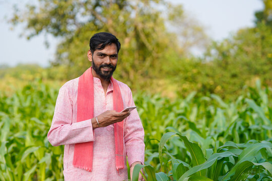 Indian farmer using smartphone at corn agriculture field