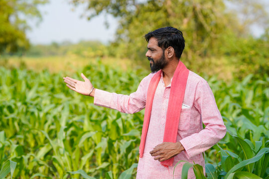 Indian farmer standing confidently at corn agriculture field