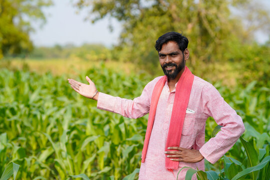 Indian farmer standing confidently at corn agriculture field