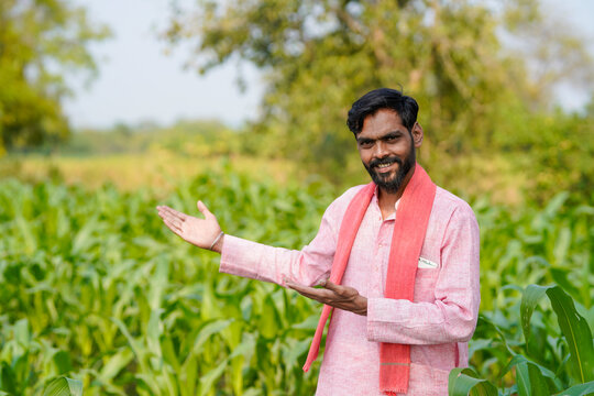 Indian farmer standing confidently at corn agriculture field