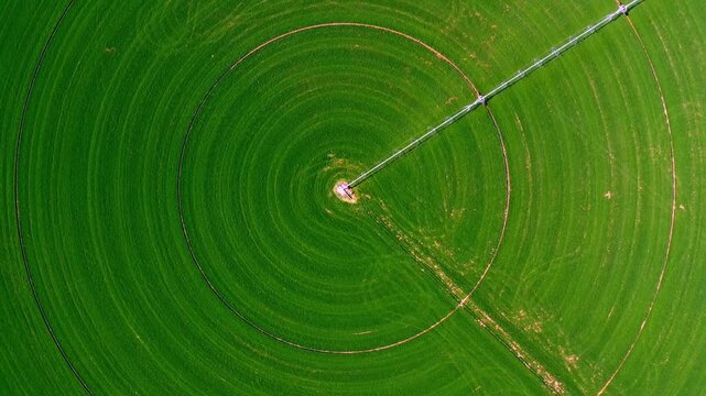 Aerial top down view of a center pivot irrigation system on a green field