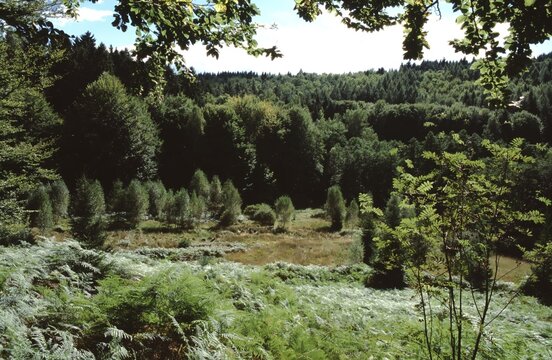 Landscape Lochborn in Spessart, Germany