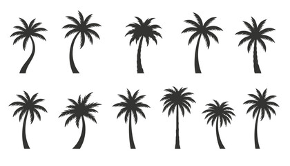 Fototapeta premium Silhouette tropical palm trees in various shapes are arranged in two rows against a clean white background.