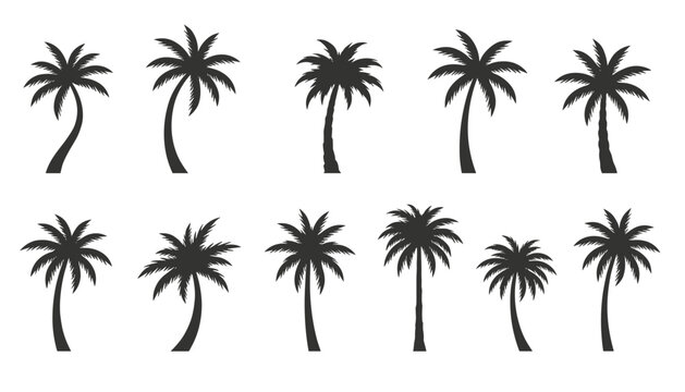 Silhouette tropical palm trees in various shapes are arranged in two rows against a clean white background.
