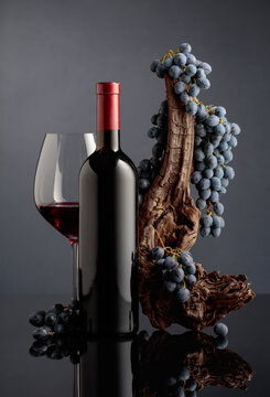 Red wine with a weathered snag and blue grapes.