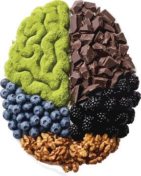 Brain anatomy is visualized using a collage of various healthy superfood.