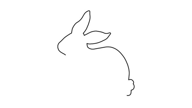 Minimalist continuous line drawing animation of a cute rabbit silhouette emerging on a white background 
