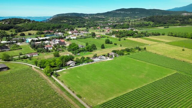 Cultivated vineyard landscape with rural infrastructure and surrounding hills in Italy, aerial view