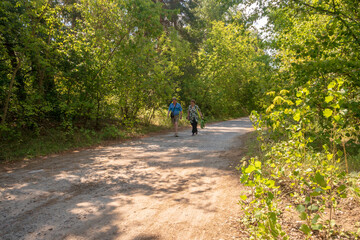 Obraz premium Active Senior Couple Walking Together on a Scenic Dirt Path through a Lush Green Forest on a Sunny Summer Day