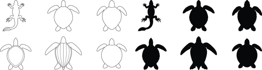Sea Turtle Top View Vector Collection with Outline and Silhouette Marine Animal Illustrations © Hello World