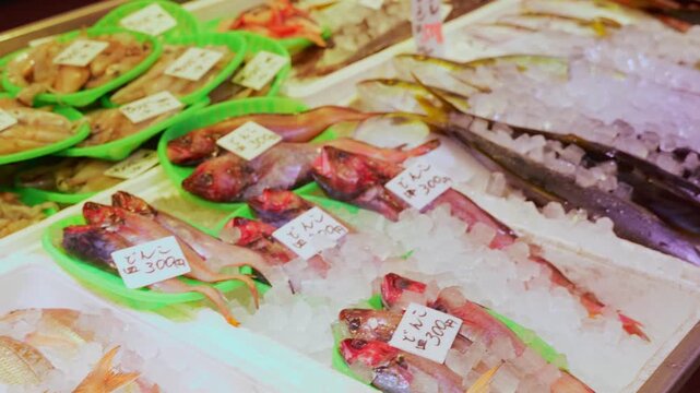 Fresh Fish Display at a Japanese Seafood Market