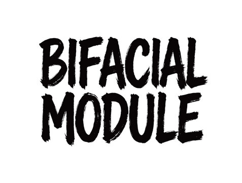 BIFACIAL MODULE Handwriting