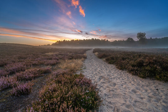 Morgennebel &uuml;ber der Nemitzer Heide
