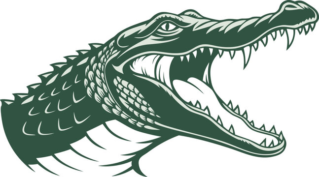 Green alligator head with open jaws illustration
