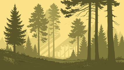 Pine forest landscape silhouette view at sunset with landscape, silhouette © Khadija