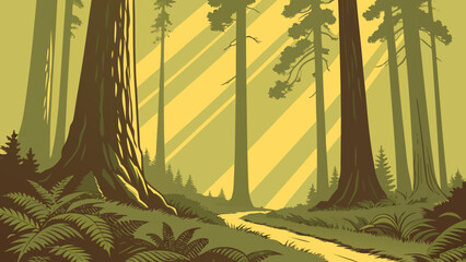 Lush forest clearing with tall trees and sunlight beams forest floor woodland © Khadija