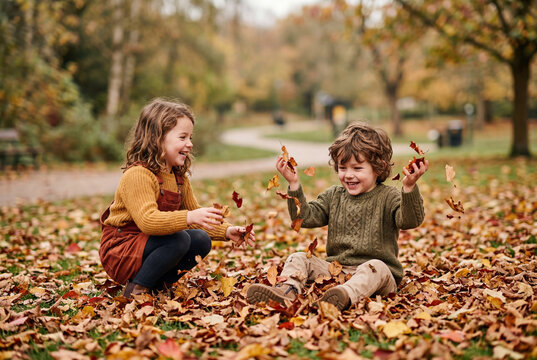 Two cheerful children playing together with dry fallen autumn leaves on green grass in a local park