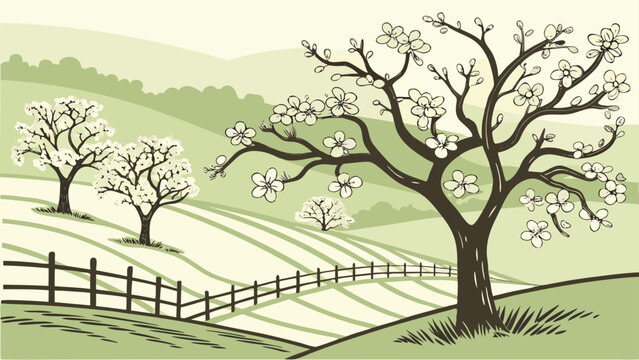 Spring landscape drawing with blooming apple trees and wooden fence, landscape