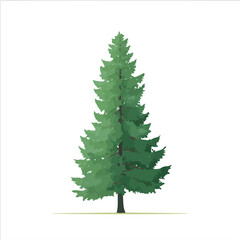 Obraz premium Cedar Tree, clean 2D vector flat illustration in minimal and modern style on a white background.