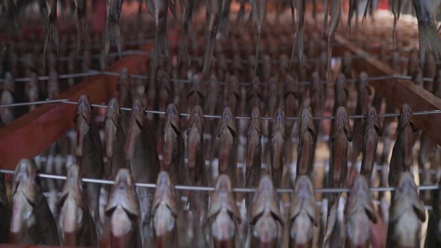 Dried fish is neatly arranged in rows on wooden racks in natural light. Earthy browns and grays predominate. Salted fish hangs and dries.