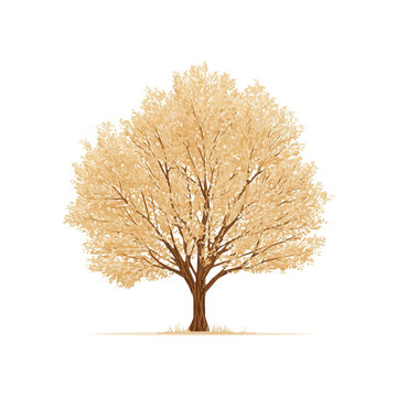 Clean 2D flat vector depiction of a Balsa Tree, designed in minimalist modern style with white background.