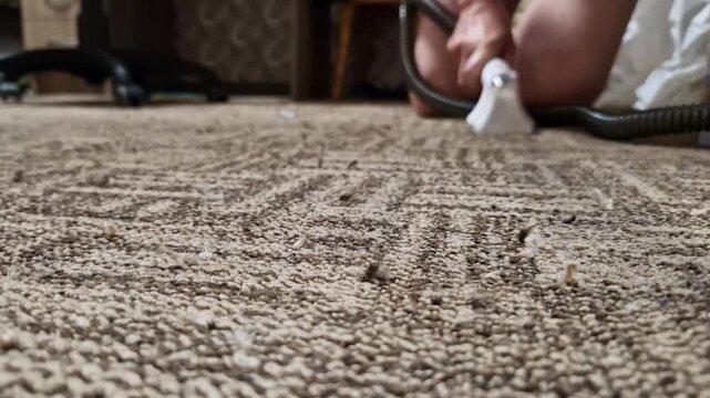 A transparent vacuum nozzle glides across a brown rug, suctioning soapy foam to extract dirt. Concept of home hygiene, deep cleaning, maintenance, and domestic housework.