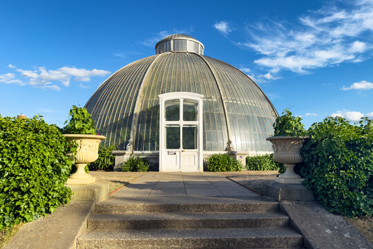 London, UK - 4 July 2026: View of the tropical Palm House at Kew Gardens, London. Built in 1844, and housing specimens of many rainforest plants that are endangered or extinct in the wild.