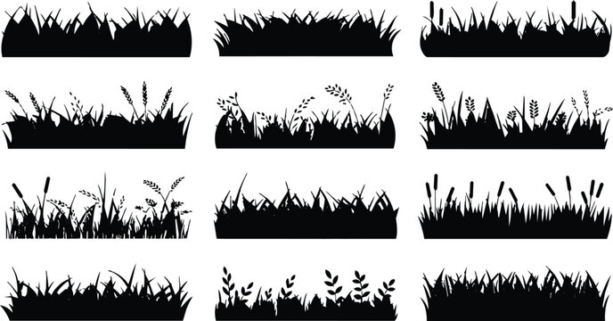 Grass border set, wild meadow silhouettes, reed cattail edges, natural decorative strips. Garden, landscape, banner, poster, packaging design. Vector illustration