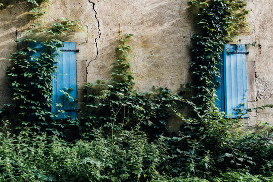 une vielle maison aux volets bleus abandonn&eacute;e. Exode rural. Lierre grimpant sur une fa&ccedil;ade. Maison fendue et abandonn&eacute;e. Nature reprend ses droits
