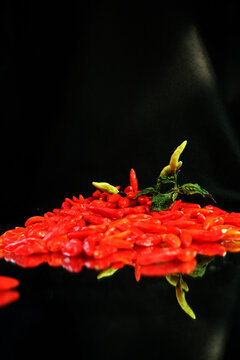 A dramatic pile of fresh red ghost peppers and a green chili on a reflective black surface, featuring intense vertical red light streaks representing extreme fiery heat.
