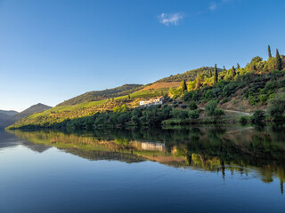 Fototapeta premium Perfect reflection of the terraced vineyards and ruins of ancient quintas on the waters of the Douro river, Pinhao, Portugal