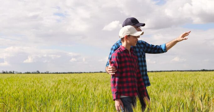 Father and son walk through golden wheat field while experienced farmer shares knowledge and guidance. Authentic family farming scene represents agricultural heritage mentorship and future generations