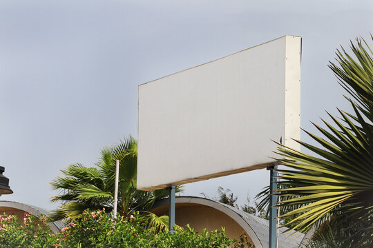 Blank white billboard against a cloudy sky with palm trees. Large empty signboard mock-up outdoors surrounded by tropical greenery. Empty outdoor advertisement sign White billboard template with palms