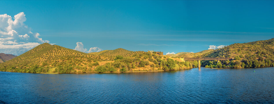 Panoramic viuew of the Douro river between Pinhao and Barca d'Alva, featuring terraced vineyards, Olive and almong tree plantations and railroad bridges, Portugal
