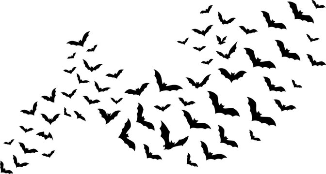 Swarm of flying bats