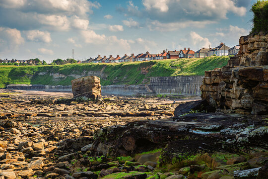 Sea Stack known as Charlie's Garden in Collywell Bay, at Seaton Sluice a village on the Northumberland coastline, with a rugged shore at Collywell Bay