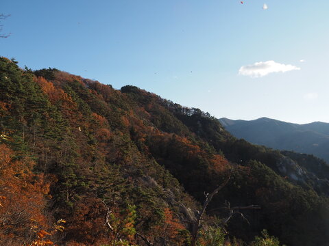 A natural autumn landscape photographed in late November at Shosenkyo Gorge in Kofu City, Yamanashi Prefecture, Japan.