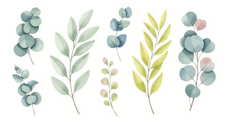 Watercolor eucalyptus leaves and botanical greenery sprigs set for wedding invitation and nature design © Viadalla