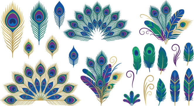 Elegant peacock feather vector illustration set featuring luxury golden plumes exotic bird tail fans decorative swirls and vibrant emerald ornaments isolated on white