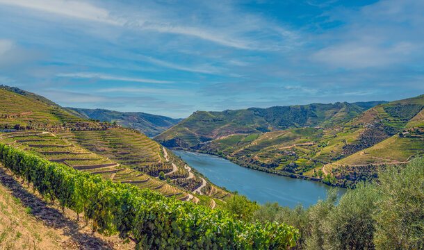 The Douro Valley, a World Heritage site and the oldest established wine region in the world, Pinhao, Portugal