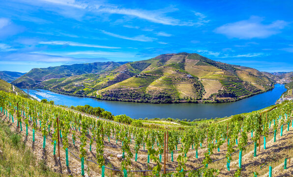 A scenic bend of the Douro river near the confluence with the Pinhao river, Portugal