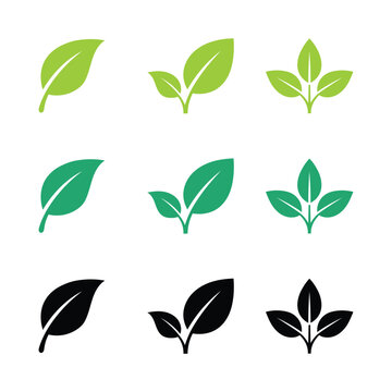 Green and black leaf icon set eco friendly plant sprout symbols organic nature logo elements vector illustration