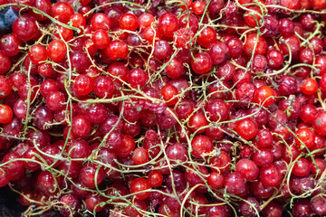 Fresh red currants berries with green stems as a healthy summer organic food background © PhotoBank