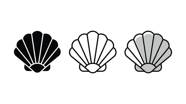 Three different colored scallop shells in white background