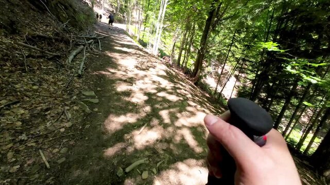 First-person POV of guys hiking up a mountain trail through a dense forest. Enjoying beautiful scenic views during an active outdoor adventure, trekking, and exploring wild nature