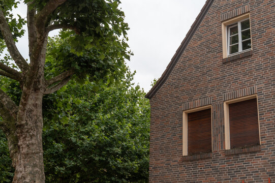 Brick building near a large tree on an overcast day in a quiet neighborhood