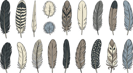 Hand drawn boho feather vector illustration set featuring various rustic bird feathers with realistic patterns and natural textures isolated on white background © MdMehedi